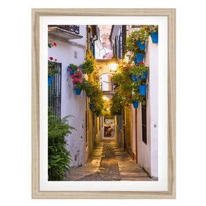 Spain Wall Art, Flower Alley Print, Cordoba Andalusia Photo, Spanish Framed Wall Art, Fine Art Photography, Very Large Picture