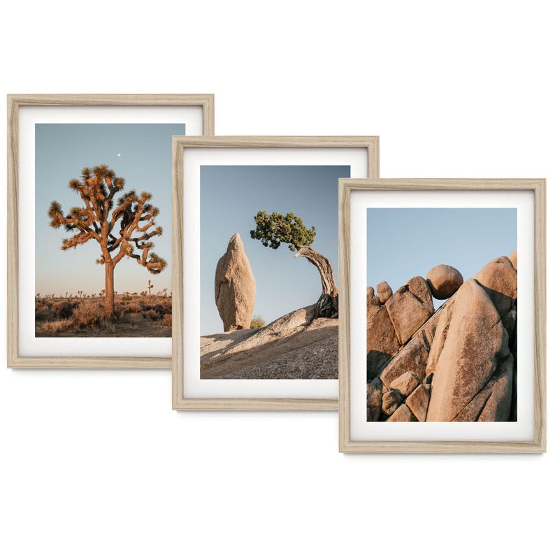 The image is a collage of three framed photographs depicting desert landscapes, including a large tree, a rock formation, and a rocky outcropping.