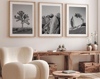 Joshua Tree National Park Print Set: Black and White Desert Photography