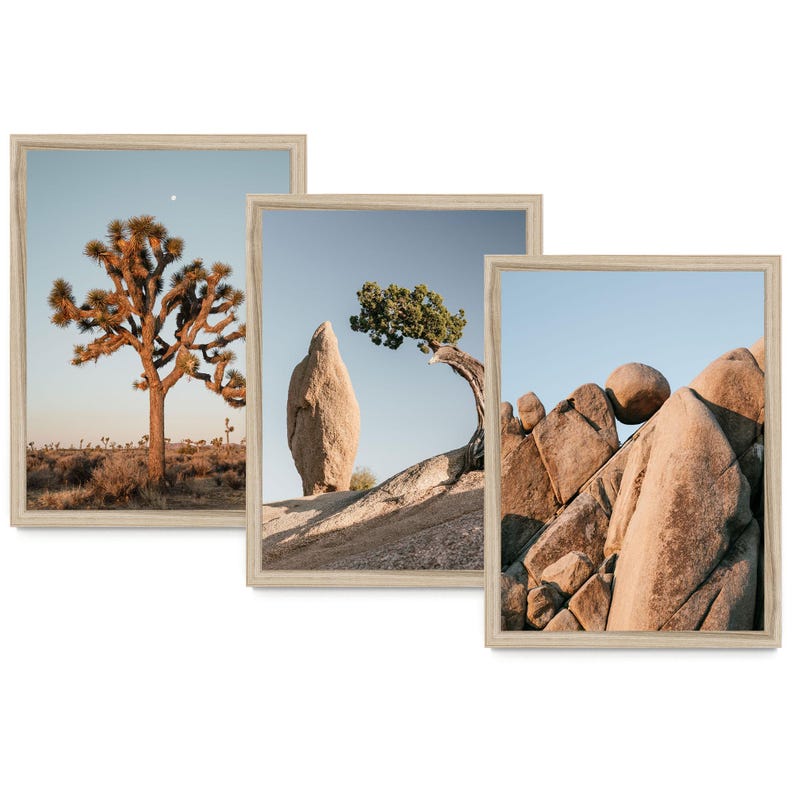 The image is a collage of three pictures depicting different desert landscapes, including a large tree, a rock formation, and a rocky outcropping.