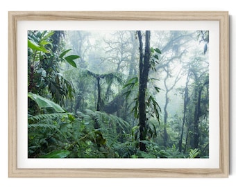 Monteverde-print met nevelwoud: groene muurkunst Costa Rica