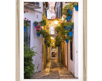 Spain Wall Art Travel Print: Cordoba Flower Alley Photography, Spanish Wall Art, Andalusia Photo, Mediterranean Home Decor