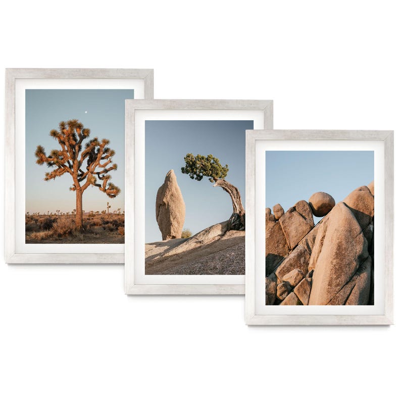 The image is a collage of three framed photographs depicting desert landscapes, including a large tree, a rock formation, and a rocky outcropping.