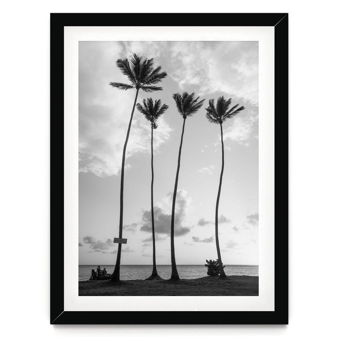 Black and White Palm Tree Print: Coastal Beach House Art - Etsy