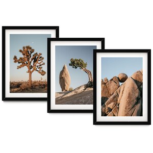 The image is a collage of three framed photographs depicting desert landscapes, including a desert tree, a large rock formation, and a rocky outcropping.