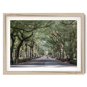 Central Park-afdruk: The Mall Walkway, stadslandschapsfotografie NYC