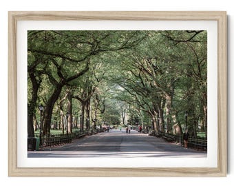 Central Park Print, New York Wall Art, The Mall Walkway NYC Photography, Green Landscape Wall Art, New York Gift