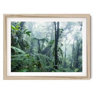 Monteverde Cloud Forest Print: Costa Rica Green Wall Art