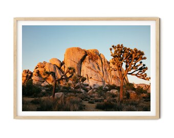 Joshua Trees holding Hands Fine Art Photography Print Joshua Tree ...