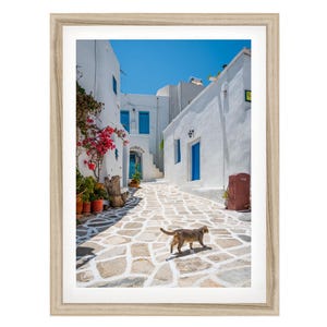 Fine Art Greece Wall Art, Cat Framed Art Print, White Coastal Decor, Greece Photography, Extra Large Gift for Girlfriend