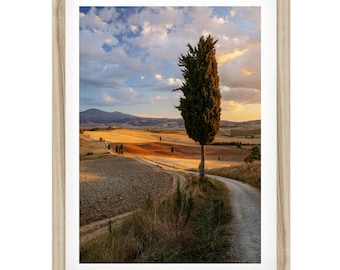 Tuscany Italy Print, Fine Art Landscape Photography, Italian Framed Artwork for Home Decor