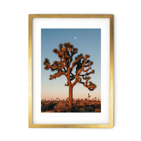 Joshua Tree Print, Desert Wall Art, California Photo, National Park Poster, Southwestern Decor, Fine Art Photography, American Landscape Art