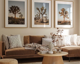 Joshua Tree National Park Print Set: Desert Photography, California Framed Art
