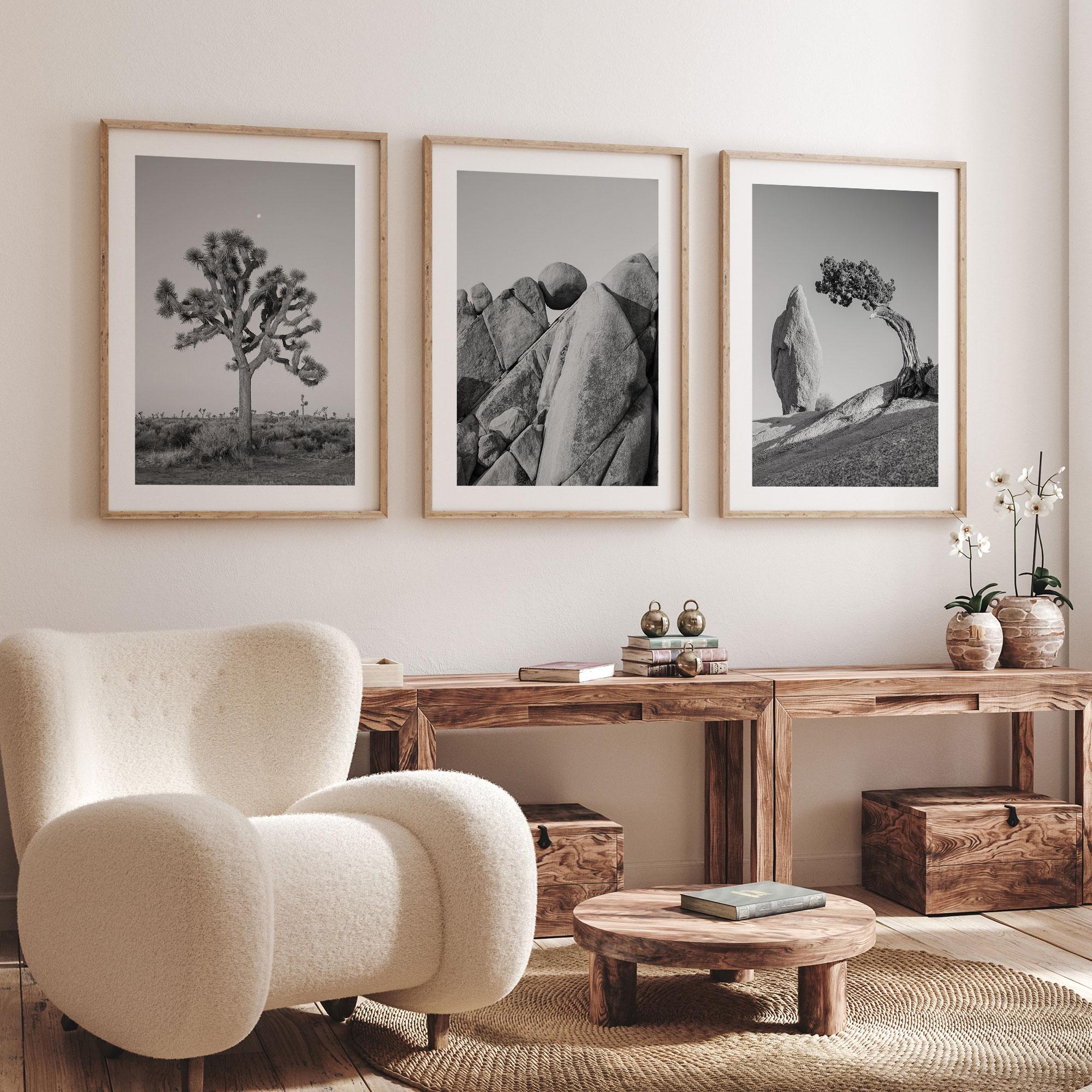 Joshua Tree Print Set of 3, Black and White Fine Art Prints, California Desert Wall Art, Framed or Unframed Large Artwork for Home Decor