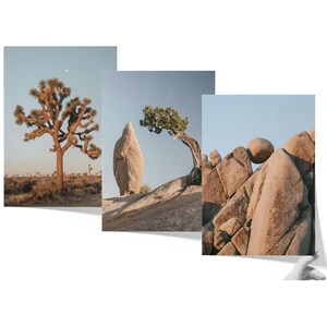 The image is a collage of three photographs depicting various desert landscapes, including a large Joshua tree, a rock formation, and a rocky outcropping.