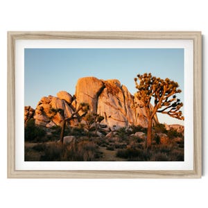 Joshua Tree National Park Print, Desert Wall Art, California Sunset Photo, Framed or Unframed Artwork for Home Decor, Fine Art Photography