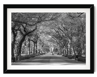 Central Park Black and White Print, New York Wall Art, The Mall Promenade Photo, NYC Photography