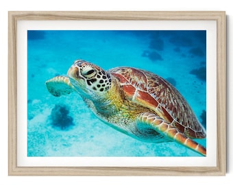 Muurkunst zeeschildpad, onderwaterfotografieprint voor kinderkamer