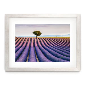 Lavender Wall Art, French Art Print, Valensole Provence Photo, French Landscape, Colorful Travel Artwork, Fine Art Photography, France Gifts