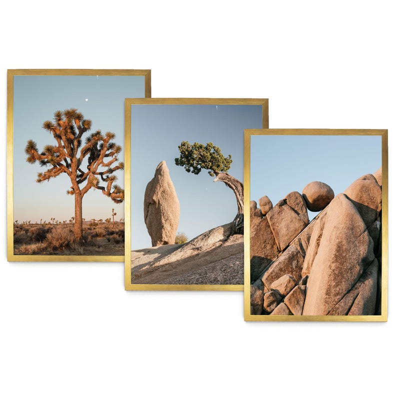 The image is a collage of three photographs depicting different desert landscapes, including a large tree, a rock formation, and a rocky outcropping.