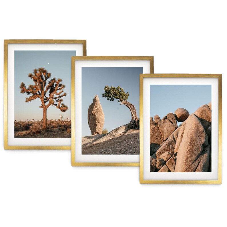The image is a collage of three framed photographs depicting desert landscapes, including a large tree, a rock formation, and a rocky outcropping.
