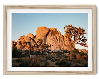 Joshua Tree National Park Framed Print: Desert Wall Art, California Photography Ready to Hang