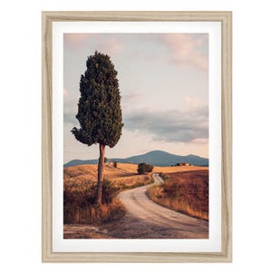 Tuscany Print, Italian Wall Art, Italy Countryside Framed or Unframed Artwork, Nature Fine Art Photography, Italy Gifts, Calming Wall Decor