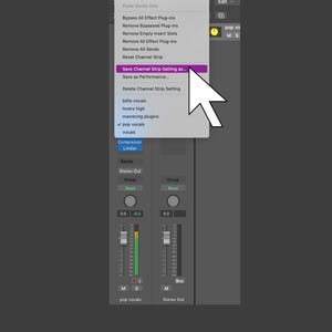 Logic Pro X Female Pop Vocals Template | Channel Strip Settting image 5