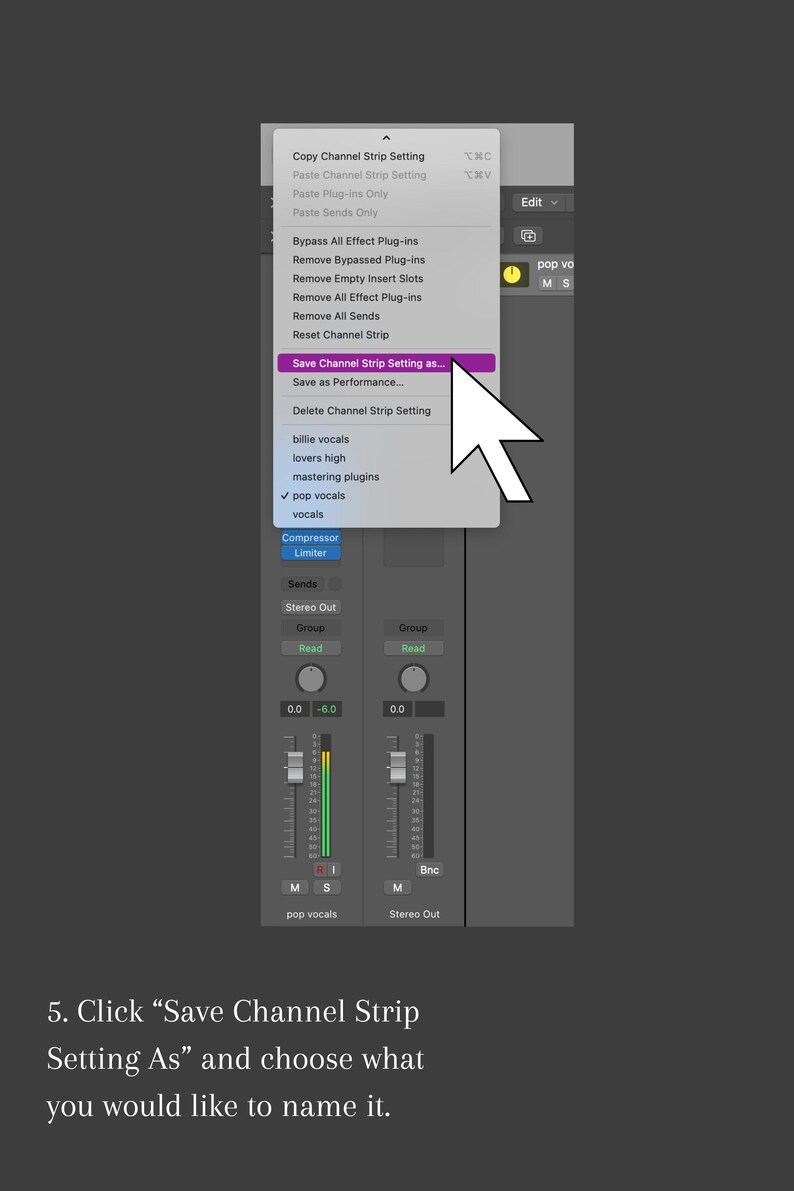 Logic Pro X Female Pop Vocals Template | Channel Strip Settting image 5