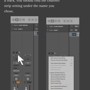 Logic Pro X Female Pop Vocals Template | Channel Strip Settting image 6
