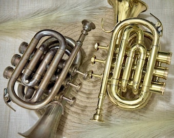 Pocket euphonium deals