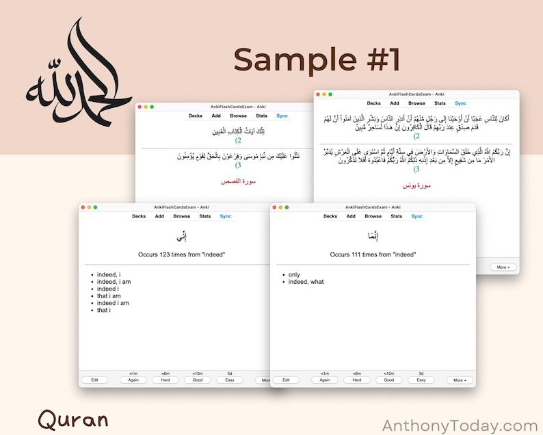 Ultimate Quran Study Guide Anki Flashcards | Learn Quranic Arabic | Master Vocabulary, Grammar & Tajweed with Audio-Enhanced Study Tools Ultimate Quran Study Guide Anki Flashcards | Learn Quranic Arabic | Master Vocabulary, Grammar & Tajweed