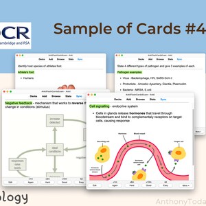 A Level Biology OCR Anki Flashcards: Official Exam Question Study Guide ...