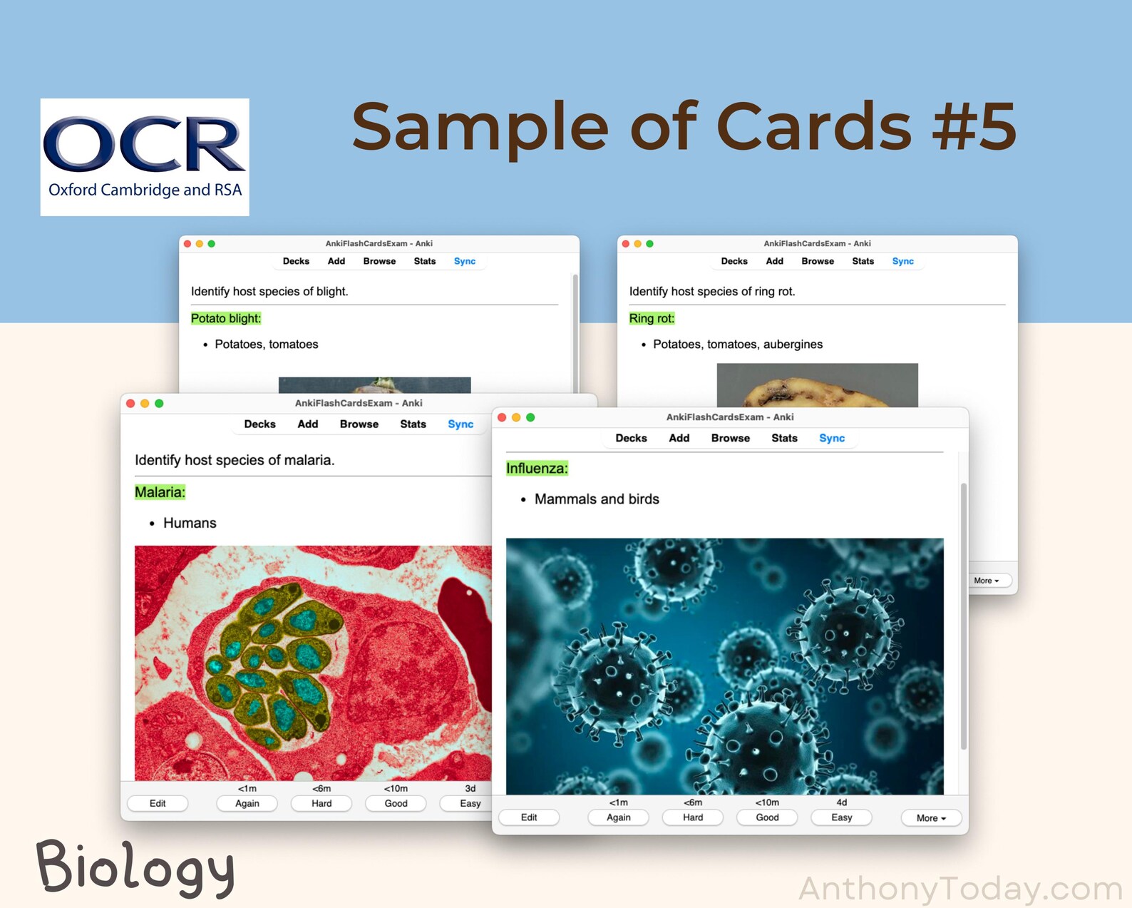 A Level Biology OCR Anki Flashcards: Official Exam Question Study Guide ...