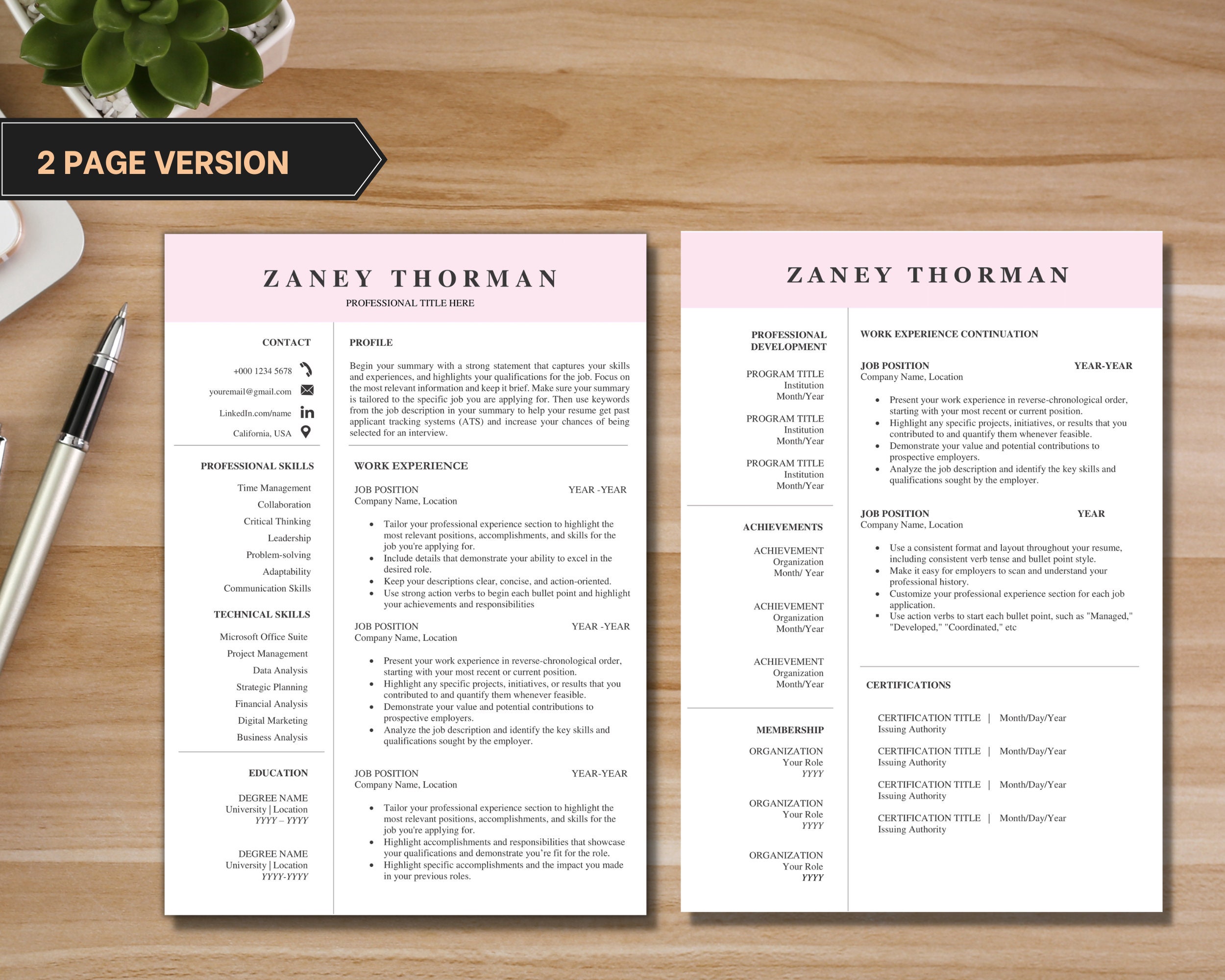 PRINTABLE RESUME EXAMPLES visual data 5
