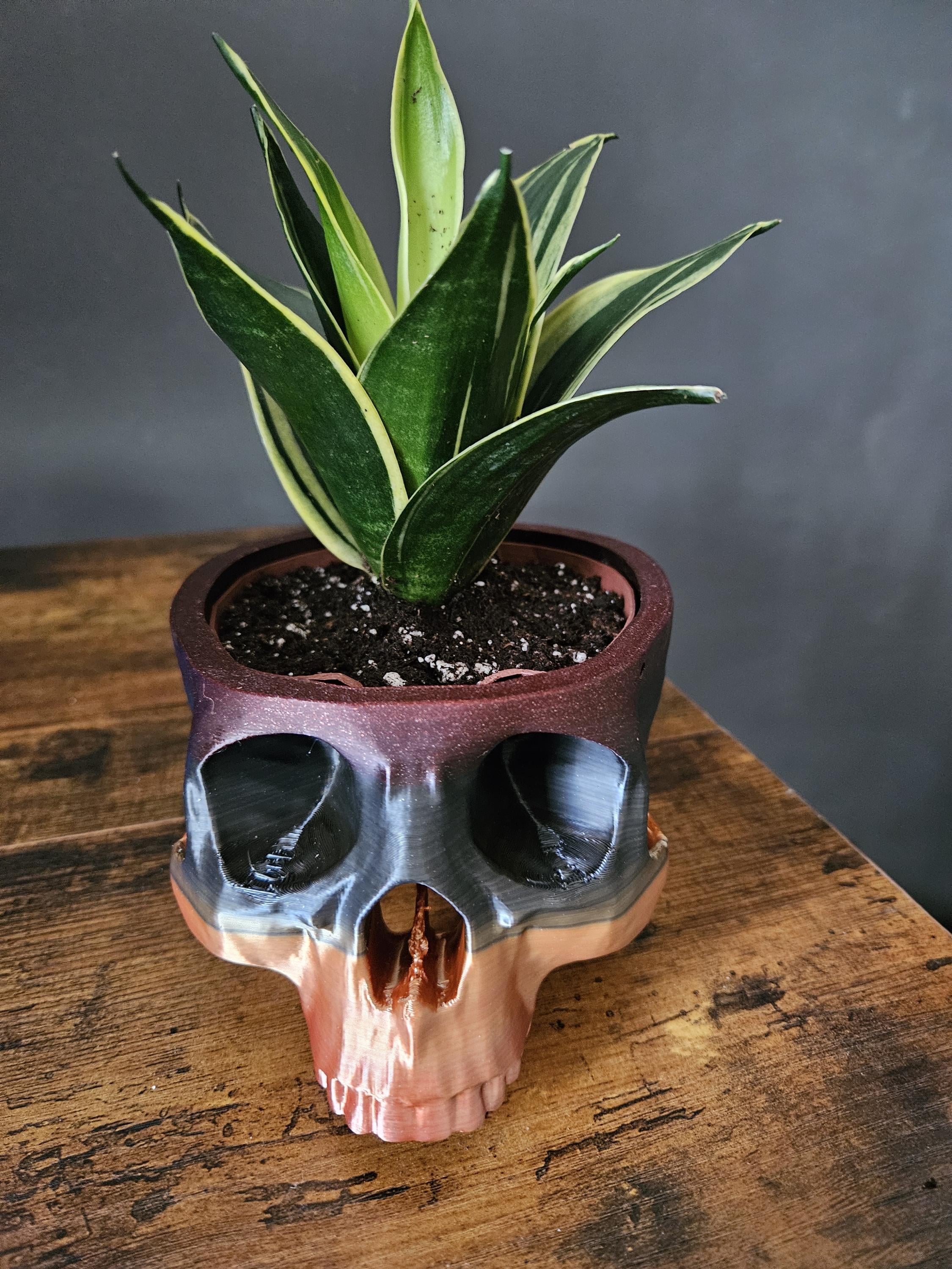Skull Flower Pot | drainage insert included - Unique Planter for  Succulents, Cacti & Air Plants | 3D Printed