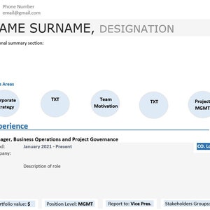 Professional Resume Template