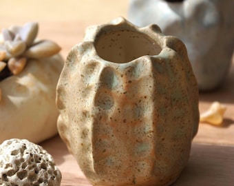 Small handmade ceramic succulent pot. A pot in the shape of a stone or shell. jar 120 ml. Small bowl