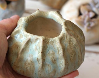 Handmade ceramic mini flowerpot for cacti and succulents. Pot in the shape of a barnacle, stone or seashell. Designer pot in marine style