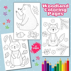 子供向けの森のぬり絵、森の動物のぬり絵、野生動物のぬり絵、森の動物のぬり絵、かわいい動物のPNG