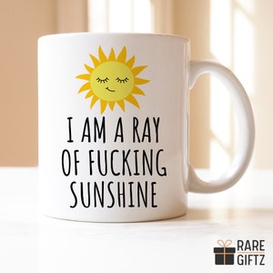 Funny Gift for bestie, Sarcastic Coffee Mug, Ray of Sunshine Mug, Christmas Gift for morning person, funny mugs for women, funny coffee mug
