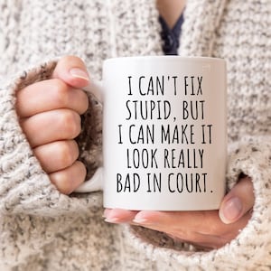 Funny Lawyer Coffee Mug, Gift for Judge, Defense Lawyer Gift, Opposing Counsel, Attorney Coffee Mug, Can&#39;t Fix Stupid, Funny Judge Birthday