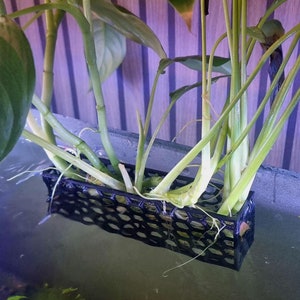 Hexagon Shaped Aquarium Planter for Aquascape Decoration – Unique Honeycomb Design for Aquatic Plants and Fish Tank Styling