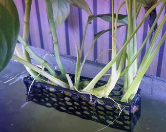 Hexagon Aquarium Planter: Honeycomb Aquascape Plant Holder