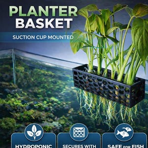 Honeycomb Aquarium Planter, Fish Tank Plant Holder Decoration