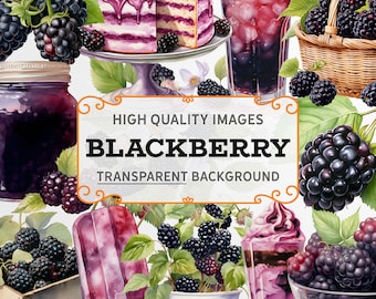 Watercolor Blackberry Clipart: PNG Graphics, Commercial Use (Digital Download)