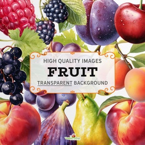 Fruit Clipart - Pack 1 - Watercolour style, colourful, 300dpi PNG graphics, transparent background, instant download, commercial use.