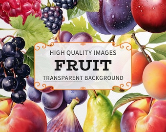 Watercolor Fruit Clipart: Colorful PNG Graphics (300dpi, Transparent Background, Commercial Use)