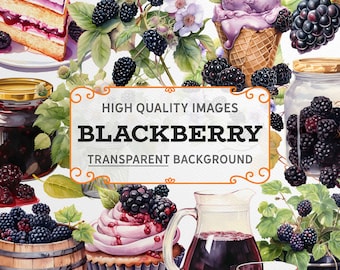 Watercolor Blackberry Clipart: PNG Graphics, Commercial Use (Digital Download)