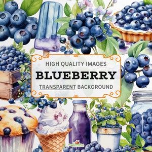 Blueberry Clipart - Pack 2 - Watercolour style, colourful, 300dpi PNG graphics, transparent background, instant download, commercial use.